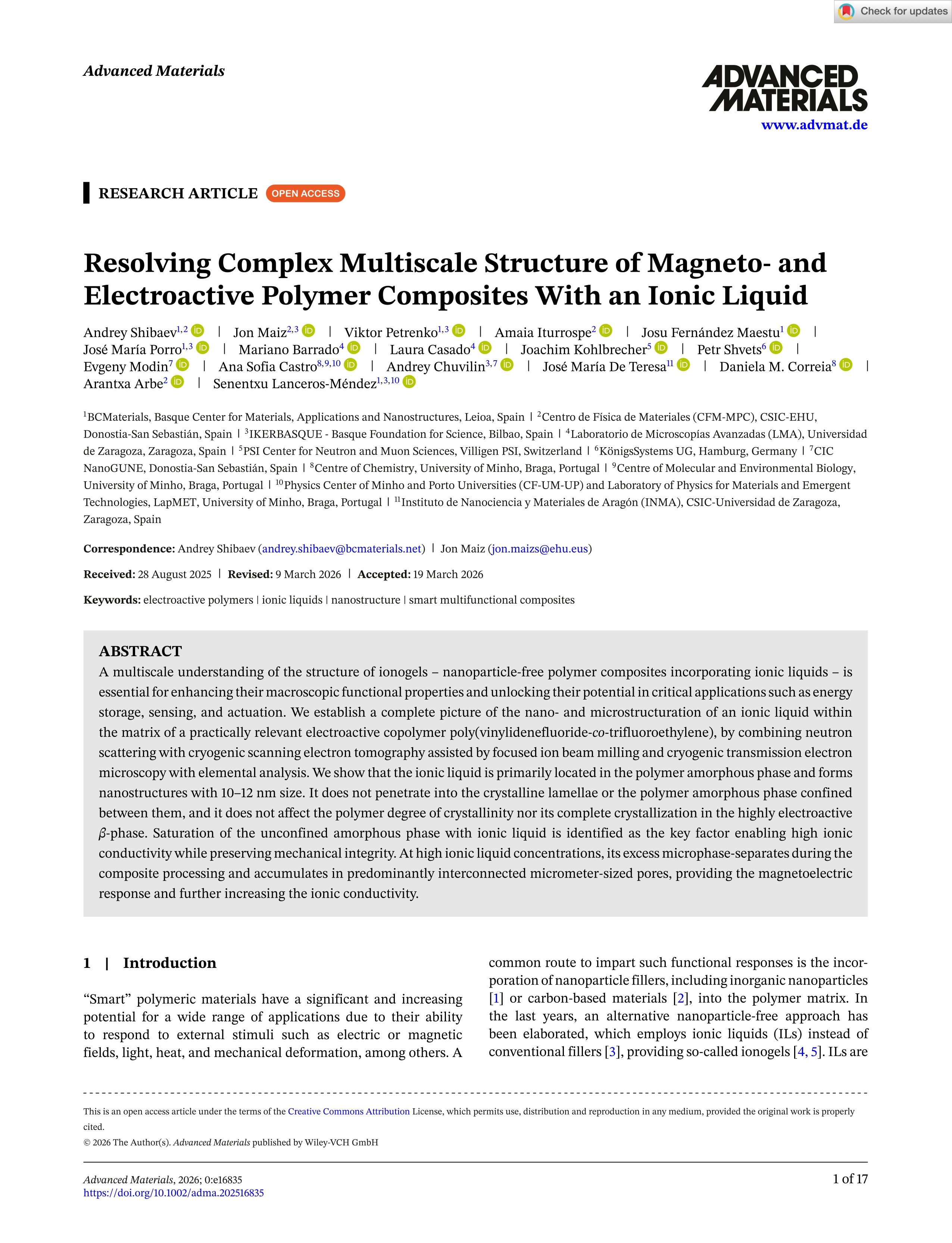 Resolving Complex Multiscale Structure of Magneto‐ and Electroactive Polymer Composites With an Ionic Liquid