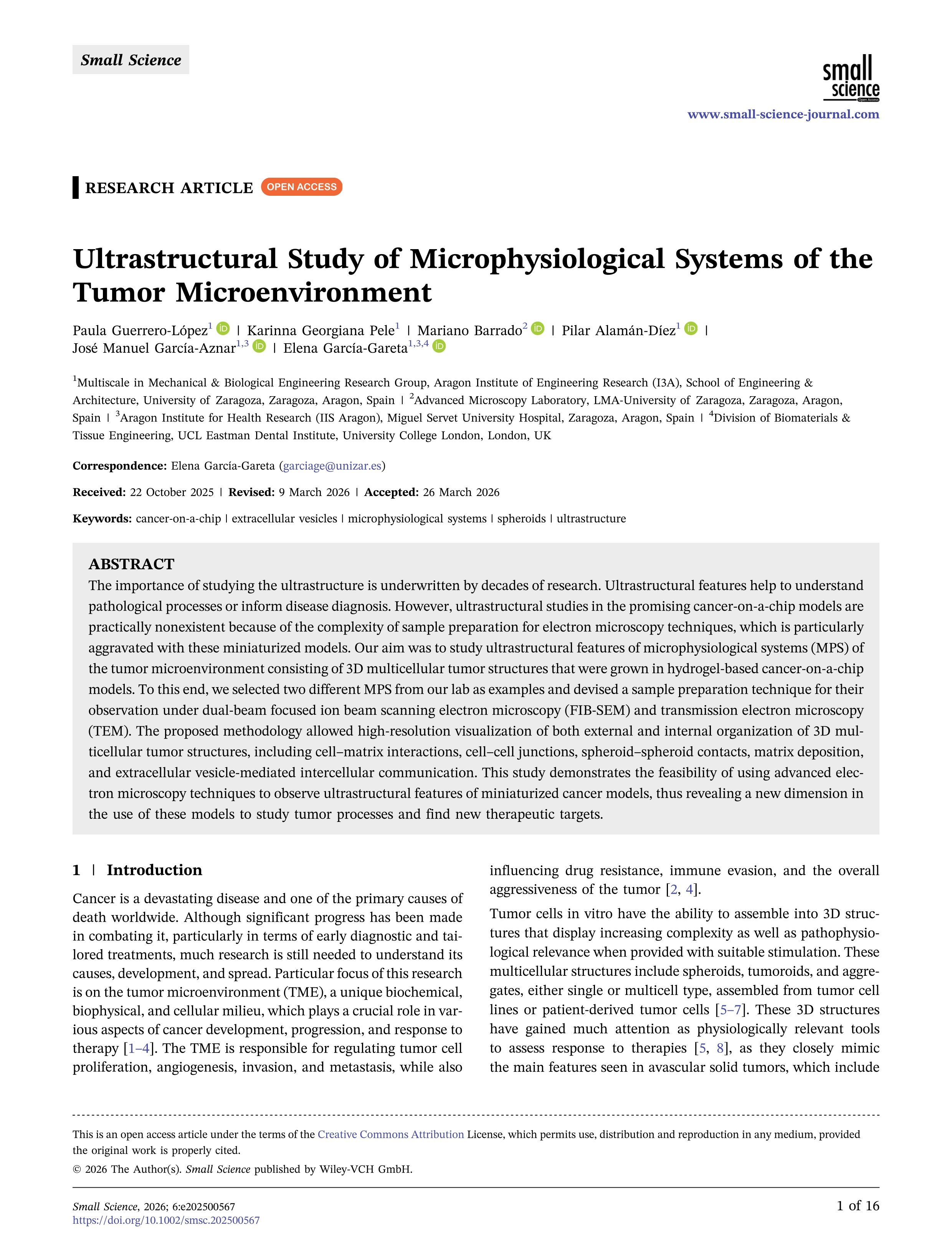 Ultrastructural study of microphysiological systems of the tumor microenvironment