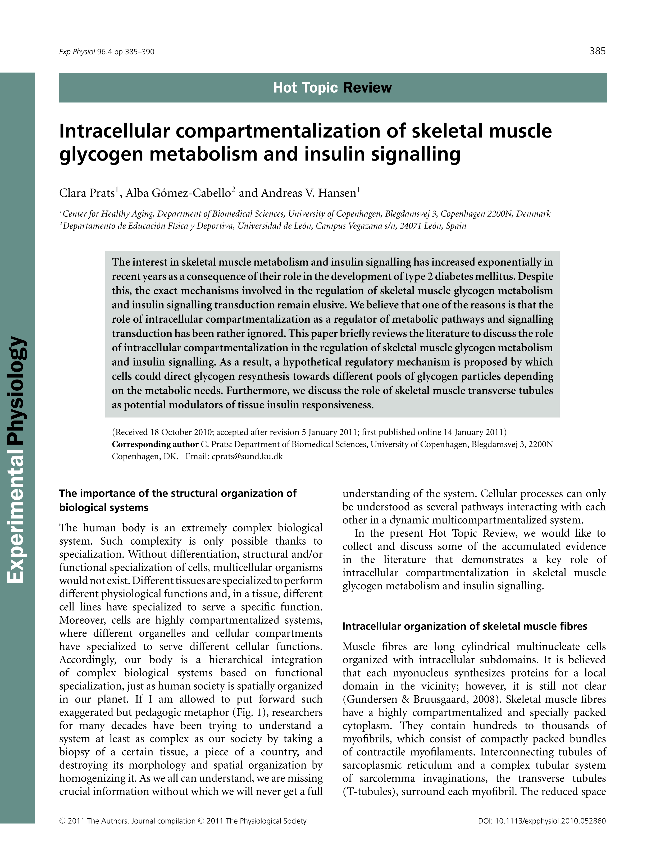 Intracellular compartmentalization of skeletal muscle glycogen metabolism and insulin signalling