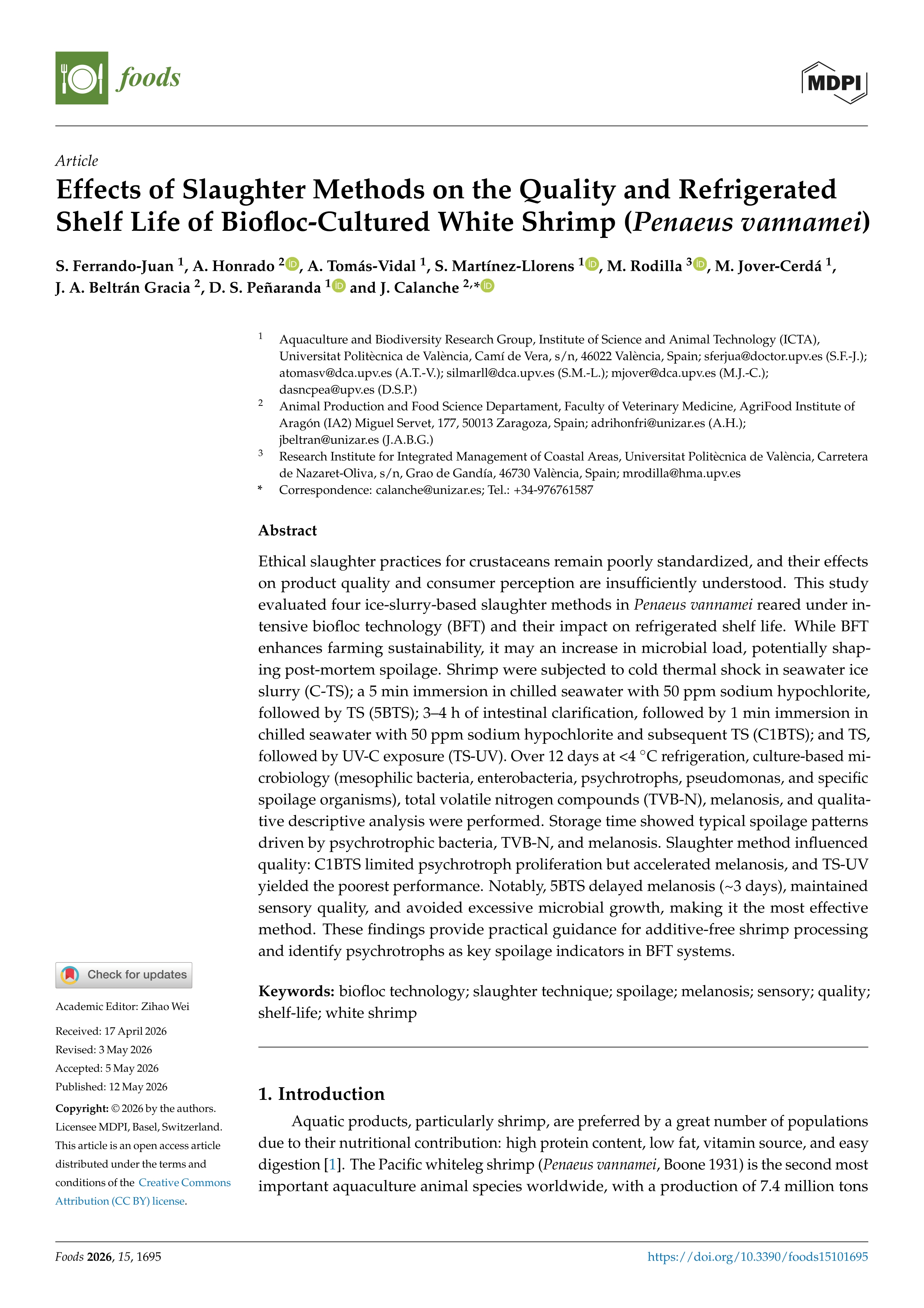 Effects of Slaughter Methods on the Quality and Refrigerated Shelf Life of Biofloc-Cultured White Shrimp (Penaeus vannamei)