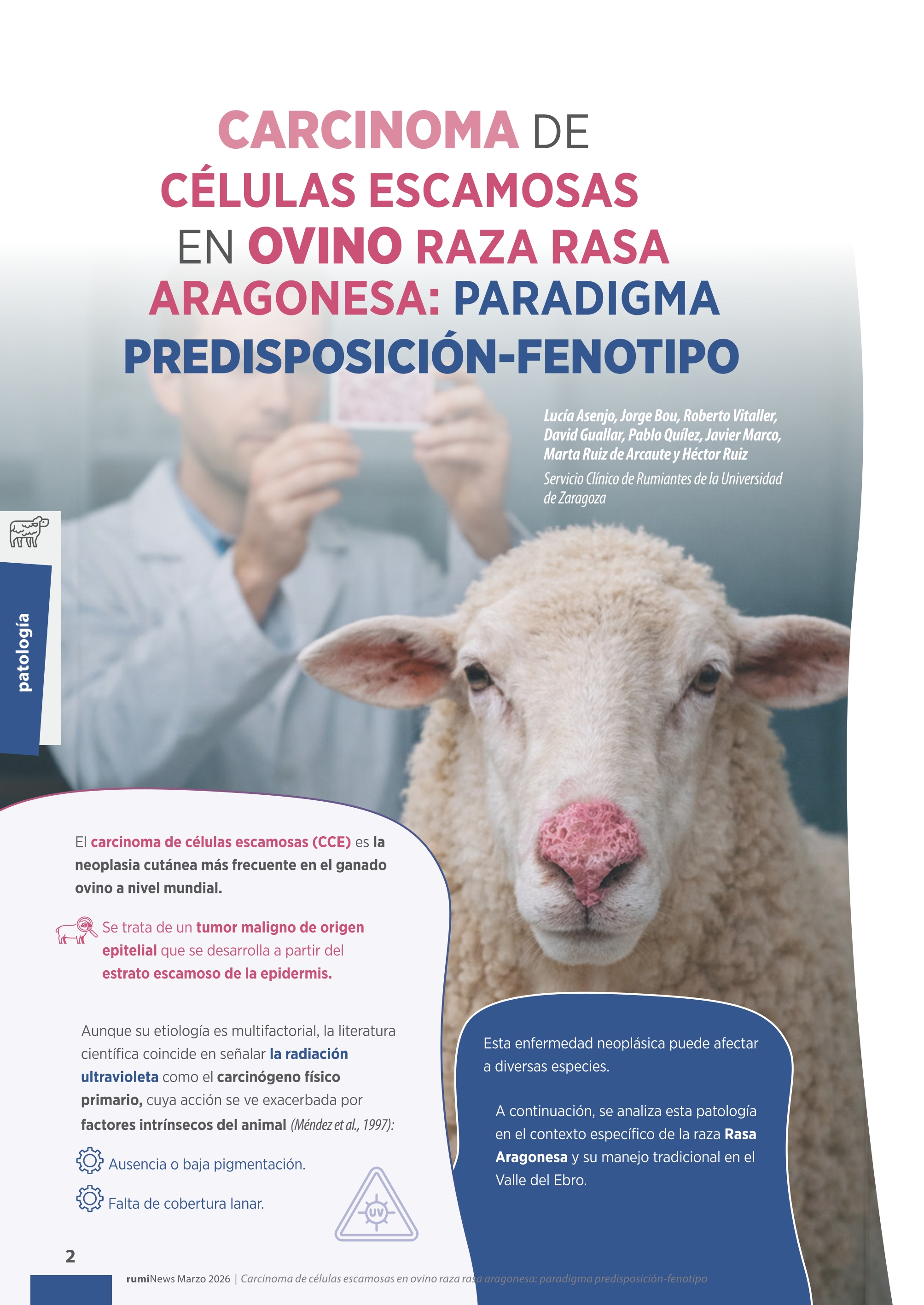 Carcinoma de células escamosas en ovino raza rasa aragonesa: paradigma predisposición-fenotipo