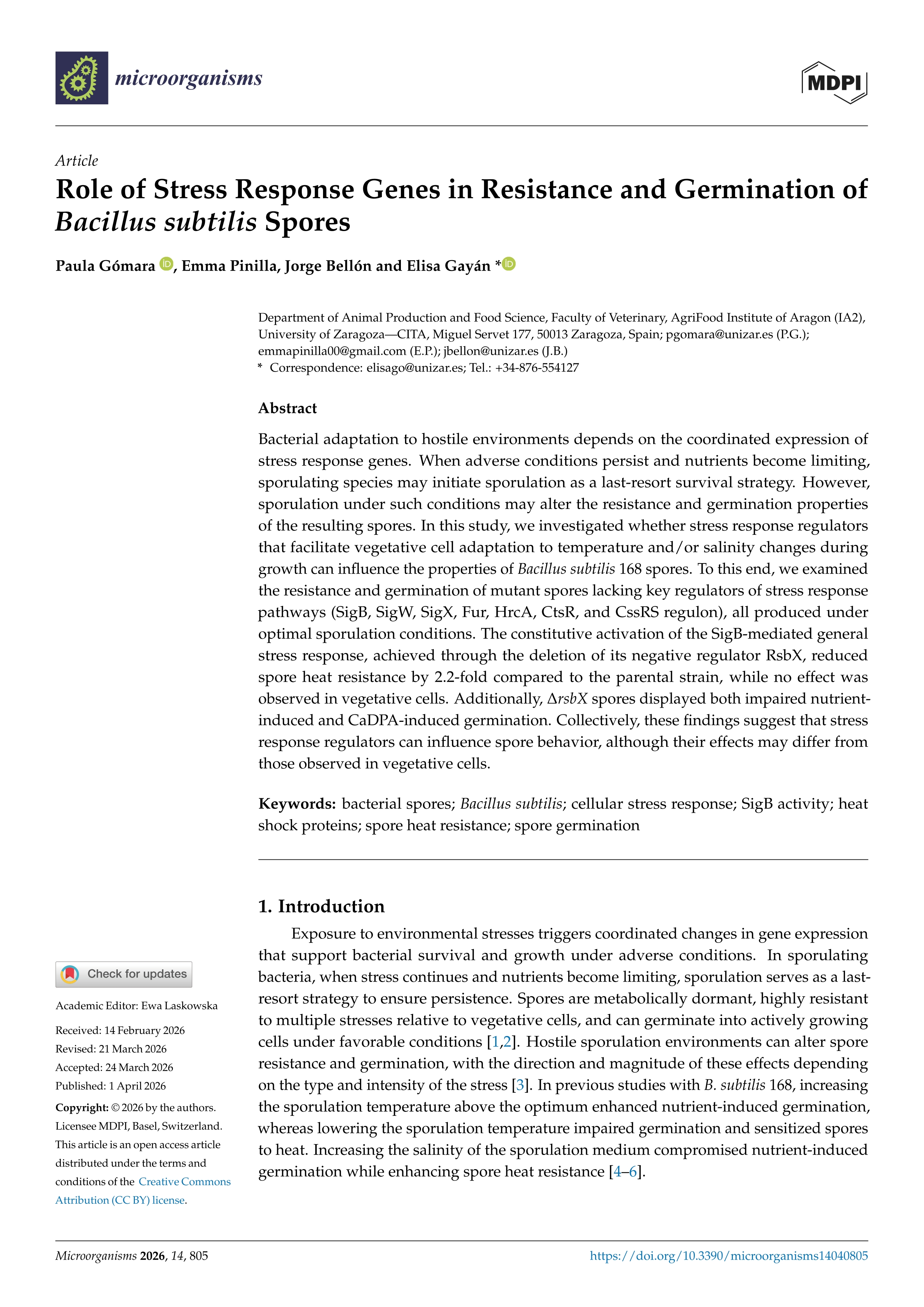 Role of stress response genes in resistance and germination of Bacillus Subtilis spores