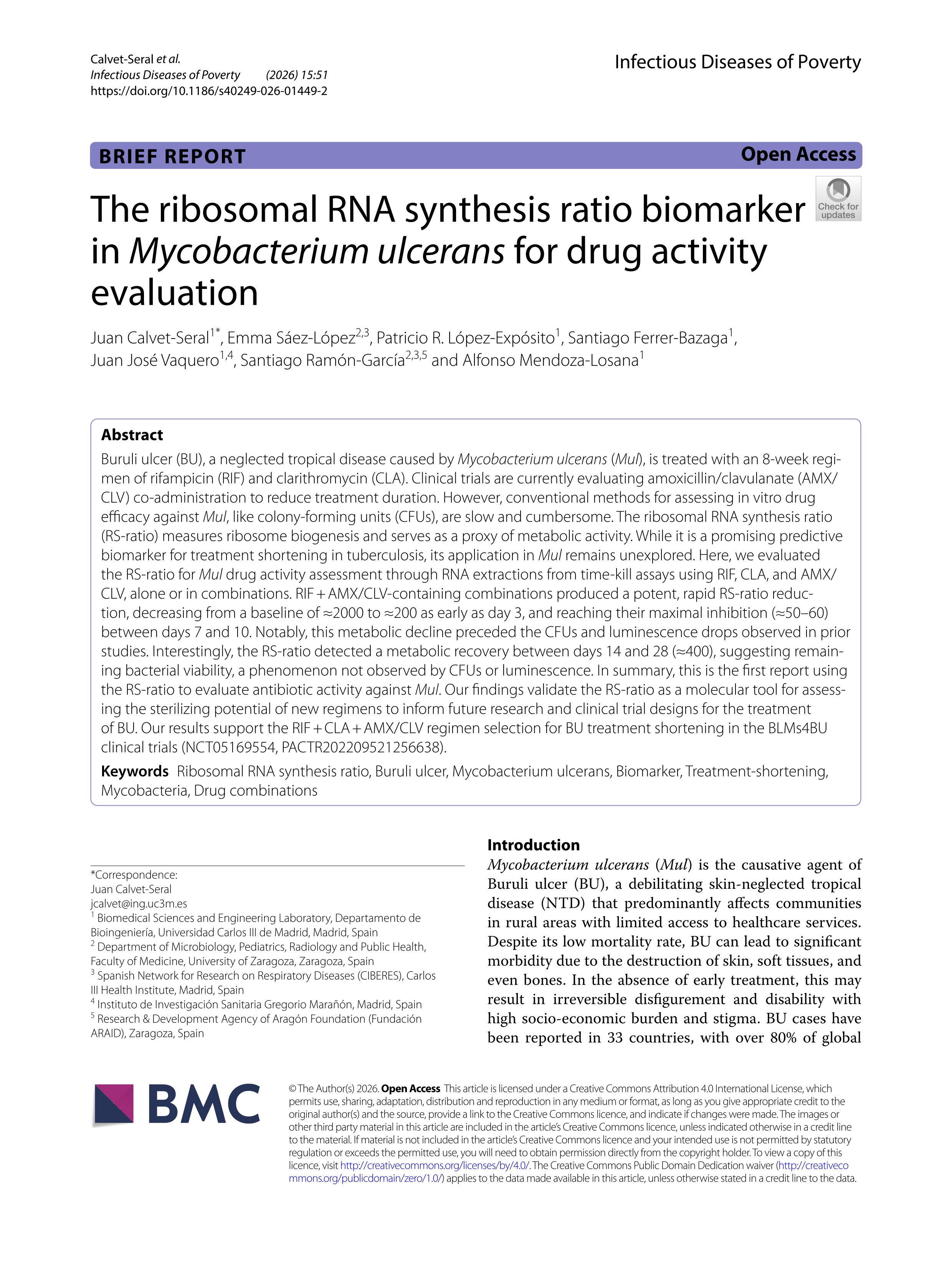 The ribosomal RNA synthesis ratio biomarker in Mycobacterium ulcerans for drug activity evaluation
