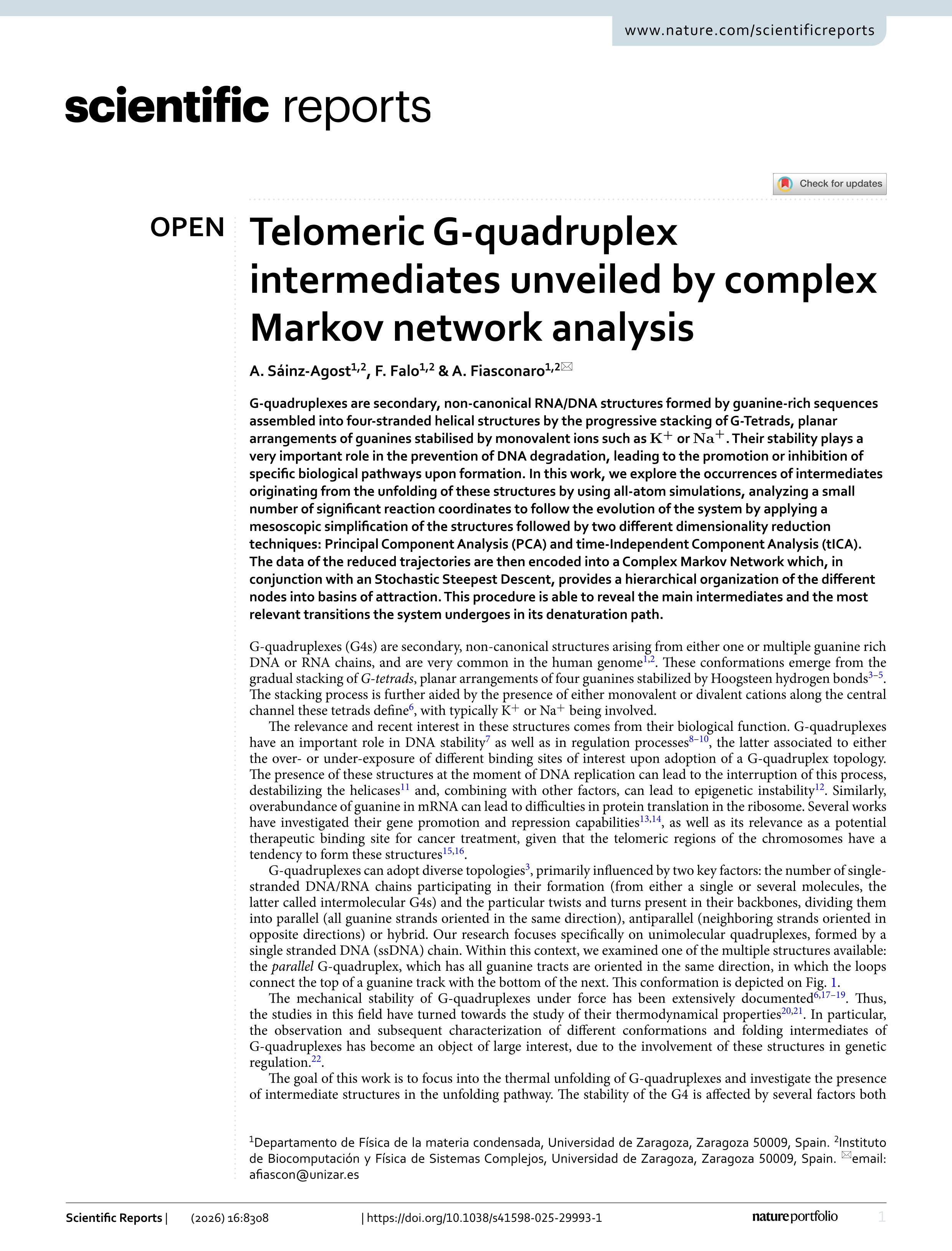 Telomeric G-quadruplex intermediates unveiled by complex Markov network analysis
