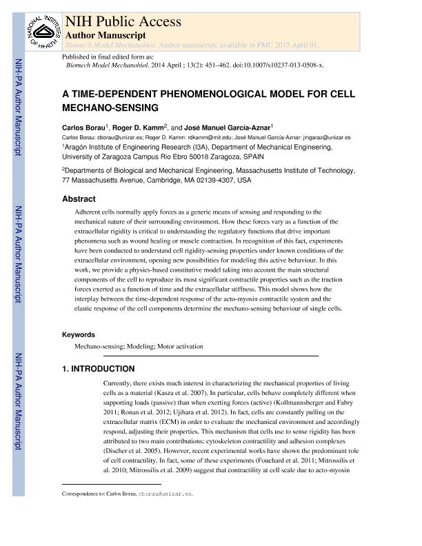 A time-dependent phenomenological model for cell mechano-sensing