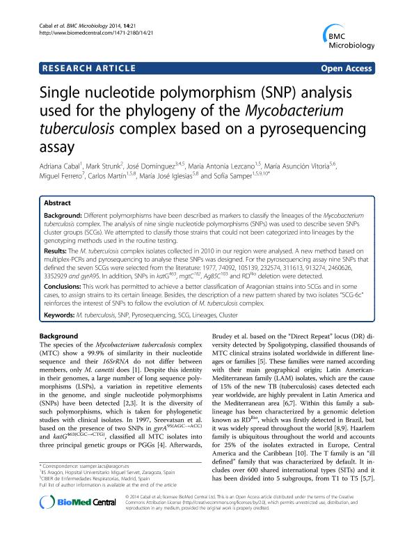 Single nucleotide polymorphism (SNP) analysis used for the phylogeny of the Mycobacterium tuberculosis complex based on a pyrosequencing assay