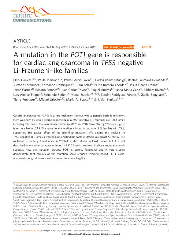 A mutation in the POT1 gene is responsible for cardiac angiosarcoma in TP53-negative Li-Fraumeni-like families