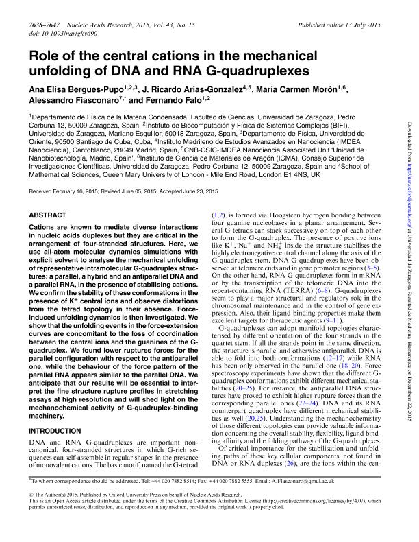 Role of the central cations in the mechanical unfolding of DNA and RNA G-quadruplexes