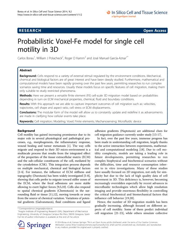 Probabilistic Voxel-Fe model for single cell motility in 3D