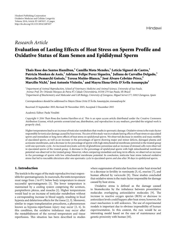 Evaluation of lasting effects of heat stress on sperm profile and oxidative status of ram semen and epididymal sperm