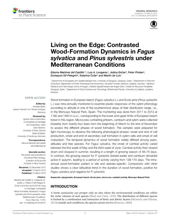 Living on the Edge: Contrasted Wood-Formation Dynamics in Fagus sylvatica and Pinus sylvestris under Mediterranean Conditions