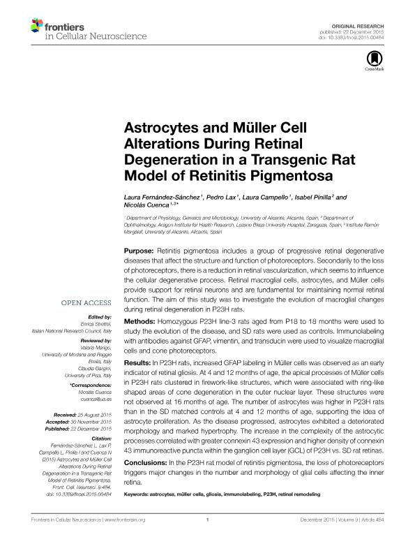 Astrocytes and Müller Cell Alterations During Retinal Degeneration in a Transgenic Rat Model of Retinitis Pigmentosa