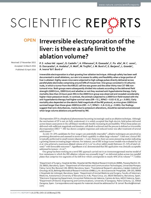 Irreversible electroporation of the liver: Is there a safe limit to the ablation volume?