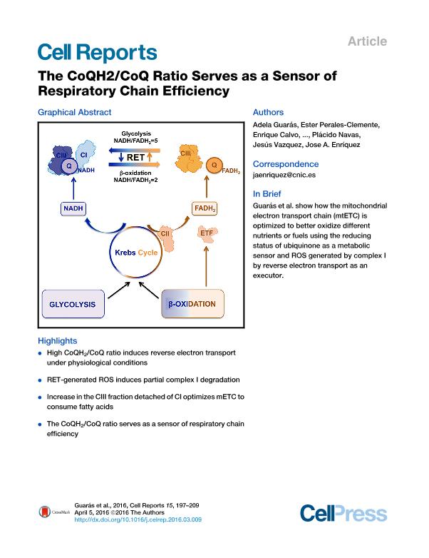 The CoQH2/CoQ Ratio Serves as a Sensor of Respiratory Chain Efficiency