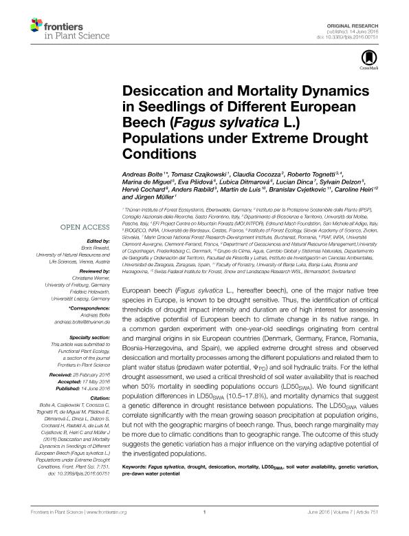 Desiccation and mortality dynamics in seedlings of different European beech (Fagus sylvatica L.) populations under extreme drought conditions