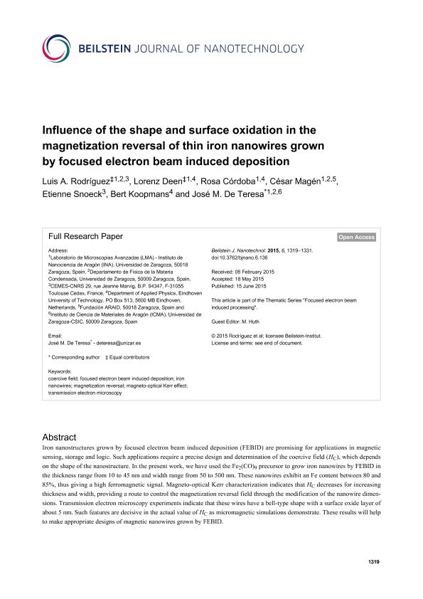 Influence of the shape and surface oxidation in the magnetization reversal of thin iron nanowires grown by focused electron beam induced deposition