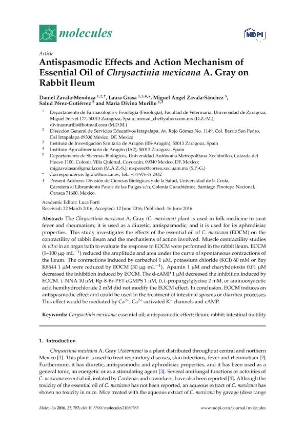 Antispasmodic effects and action mechanism of essential oil of Chrysactinia mexicana A. Gray on rabbit ileum