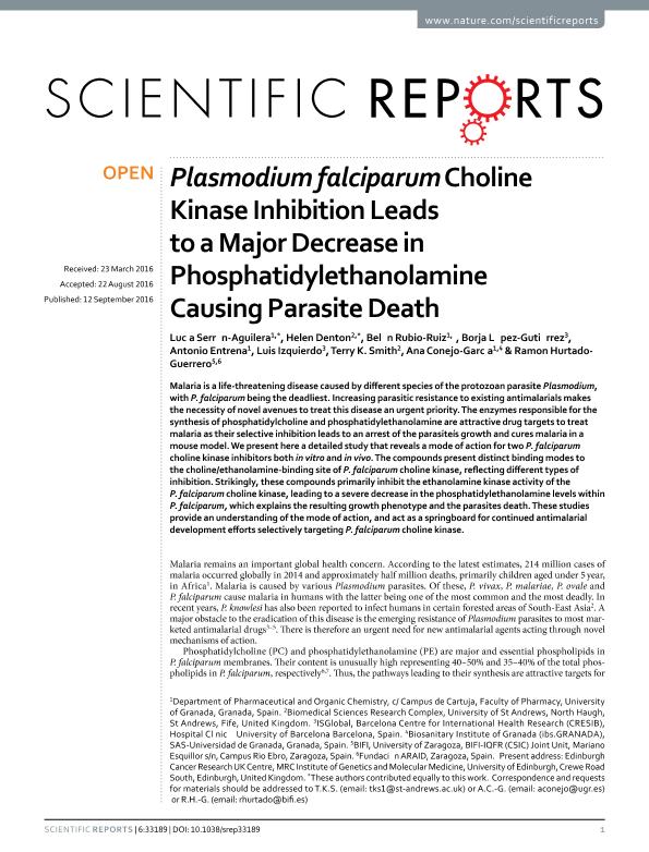 Plasmodium falciparum Choline Kinase Inhibition Leads to a Major Decrease in Phosphatidylethanolamine Causing Parasite Death