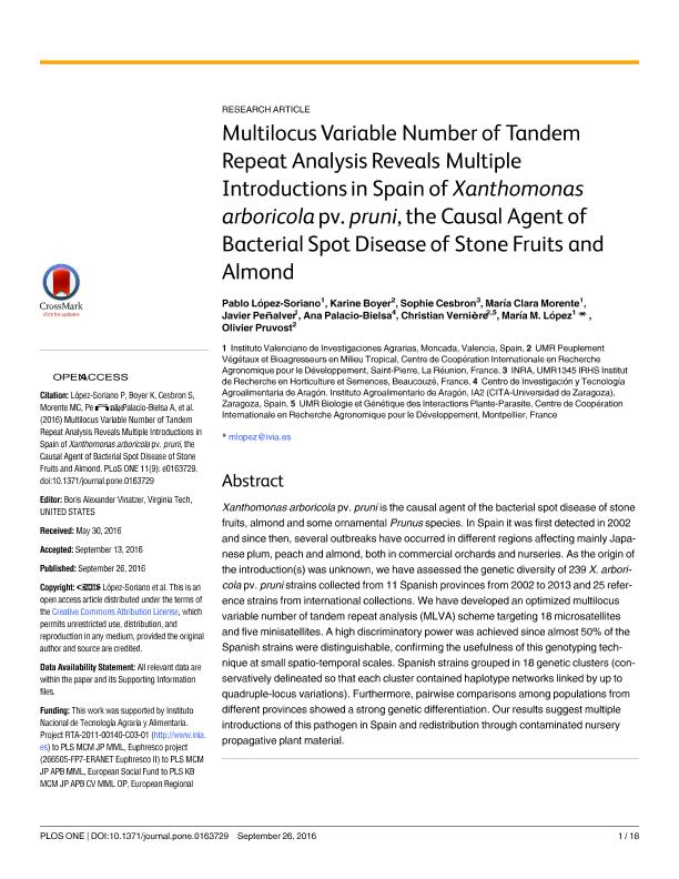 Multilocus variable number of tandem repeat analysis reveals multiple introductions in Spain of Xanthomonas arboricola pv. Pruni, the causal agent of bacterial spot disease of stone fruits and almond