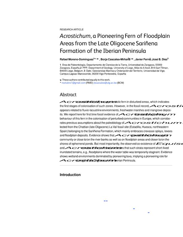 Acrostichum, a pioneering fern of floodplain areas from the late Oligocene Sariñena formation of the Iberian Peninsula