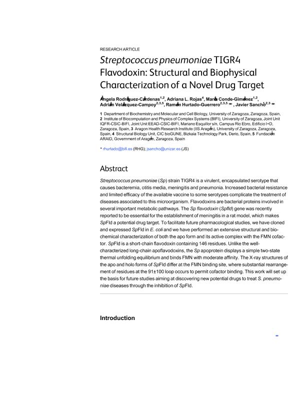 Streptococcus pneumoniae TIGR4 flavodoxin: Structural and biophysical characterization of a novel drug target