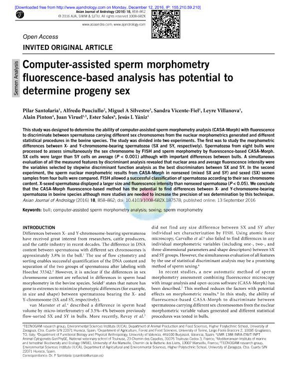 Computer-assisted sperm morphometry fluorescence-based analysis has potential to determine progeny sex