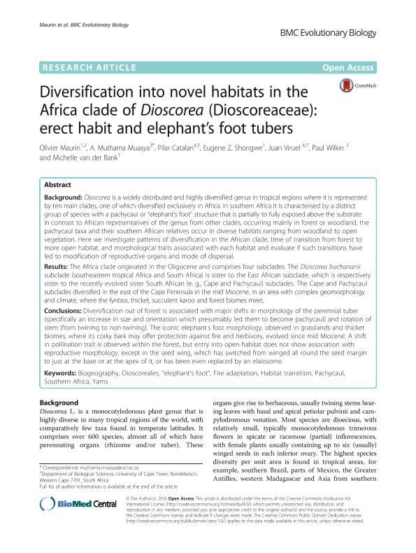 Diversification into novel habitats in the Africa clade of Dioscorea (Dioscoreaceae): erect habit and elephant's foot tubers