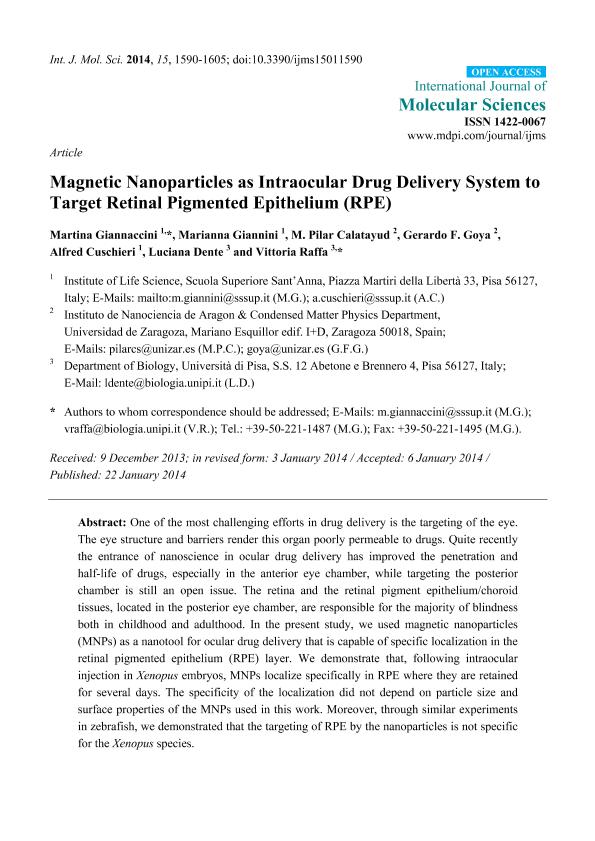 Magnetic Nanoparticles as Intraocular Drug Delivery System to Target Retinal Pigmented Epithelium (RPE)