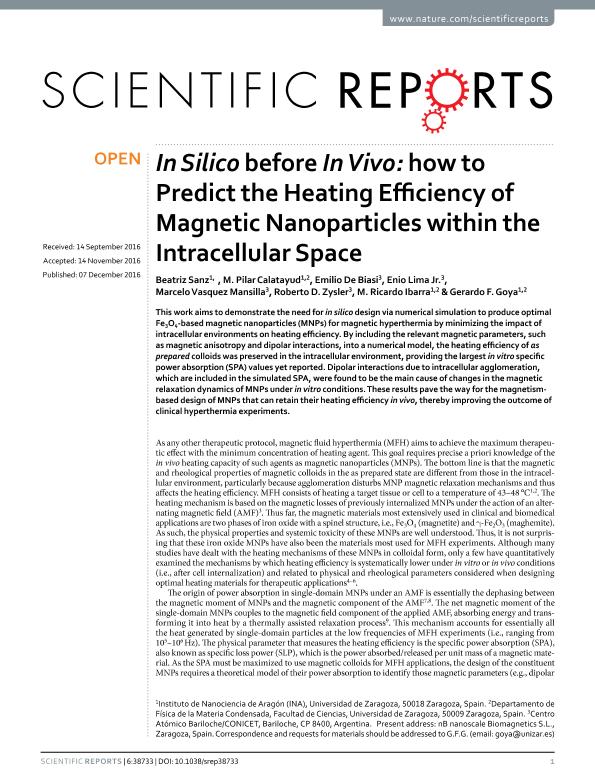 In silico before in vivo: How to predict the heating efficiency of magnetic nanoparticles within the intracellular space