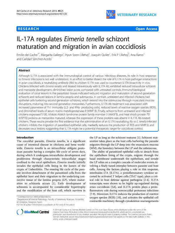 IL-17A regulates Eimeria tenella schizont maturation and migration in avian coccidiosis