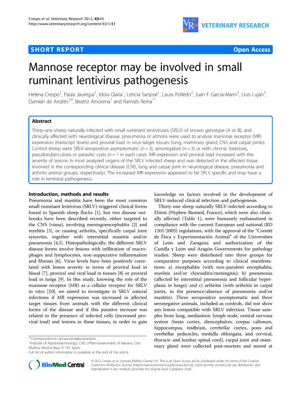 Mannose receptor may be involved in small ruminant lentivirus pathogenesis
