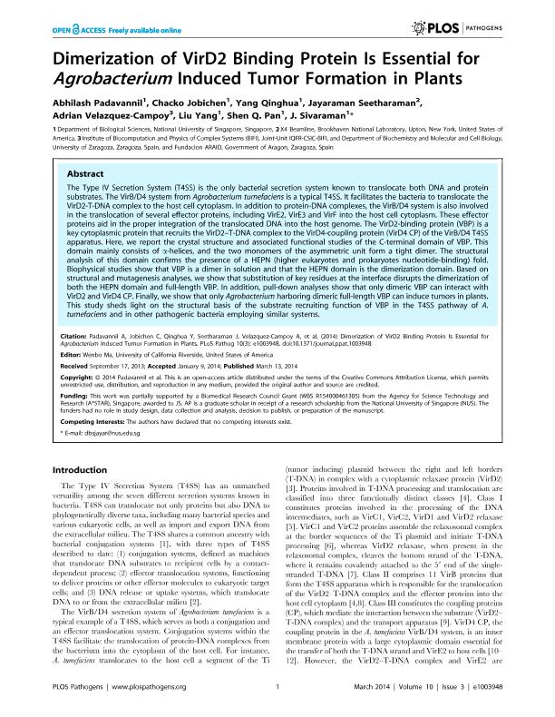 Dimerization of VirD2 Binding Protein Is Essential for Agrobacterium Induced Tumor Formation in Plants