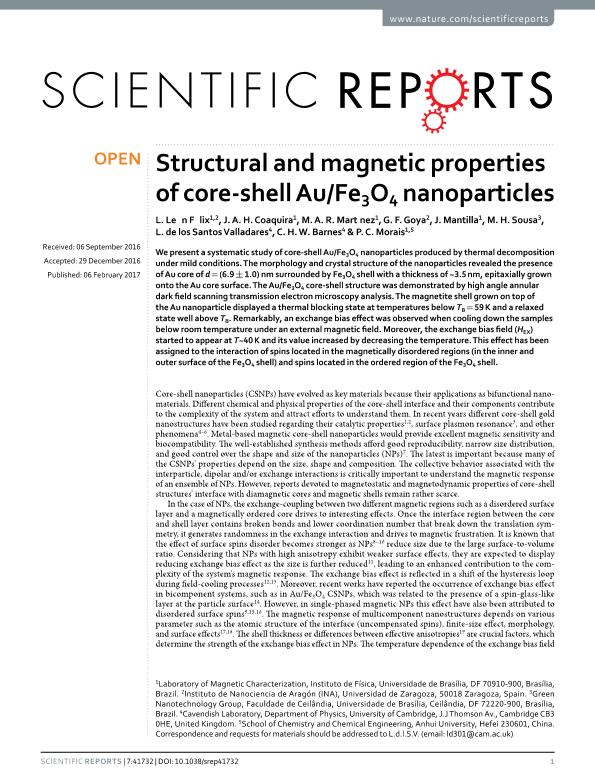 Structural and magnetic properties of core-shell Au/Fe 3 O 4 nanoparticles