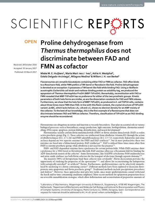 Proline dehydrogenase from Thermus thermophilus does not discriminate between FAD and FMN as cofactor