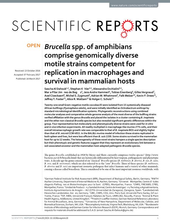 Brucella spp. of amphibians comprise genomically diverse motile strains competent for replication in macrophages and survival in mammalian hosts