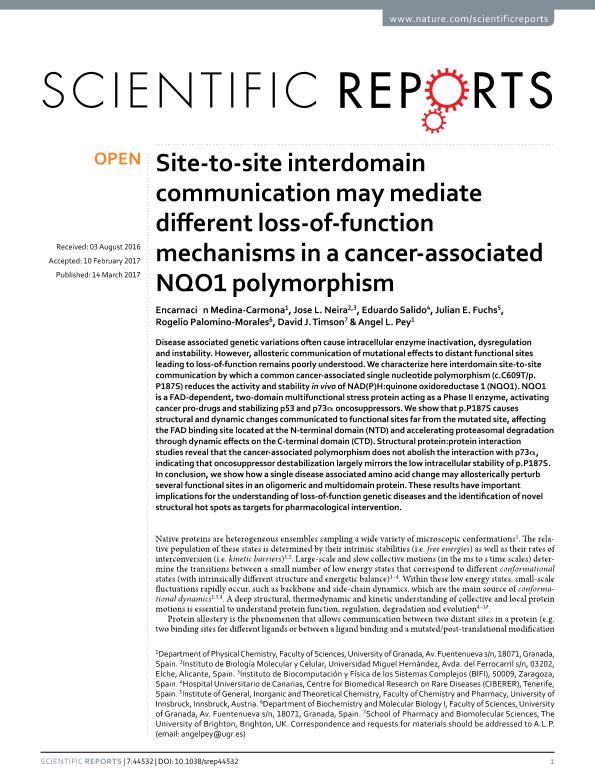 Site-to-site interdomain communication may mediate different loss-of-function mechanisms in a cancer-associated NQO1 polymorphism