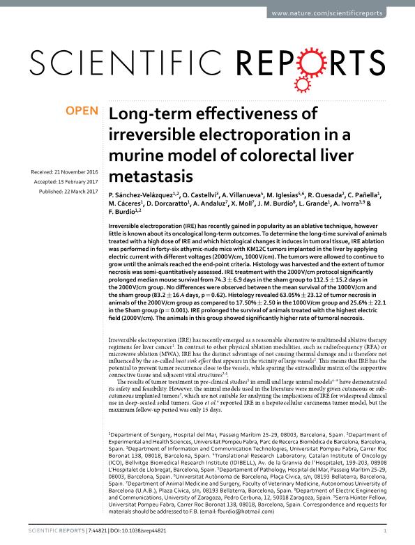 Long-term effectiveness of irreversible electroporation in a murine model of colorectal liver metastasis