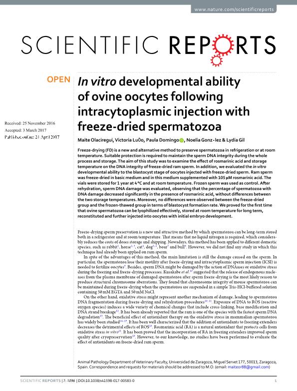 In vitro developmental ability of ovine oocytes following intracytoplasmic injection with freeze-dried spermatozoa