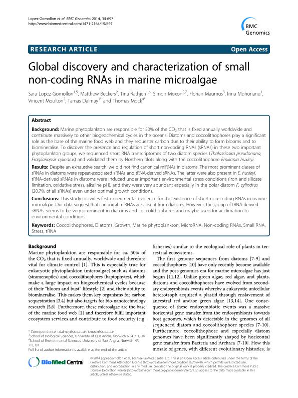 Global discovery and characterization of small non-coding RNAs in marine microalgae