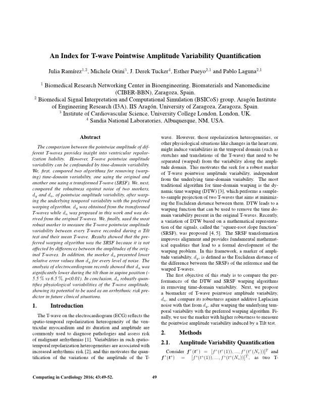 An index for T-wave pointwise amplitude variability quantification