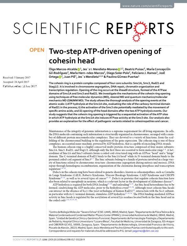 Two-step ATP-driven opening of cohesin head