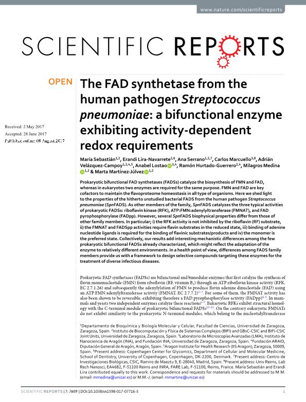 The FAD synthetase from the human pathogen Streptococcus pneumoniae: a bifunctional enzyme exhibiting activity-dependent redox requirements