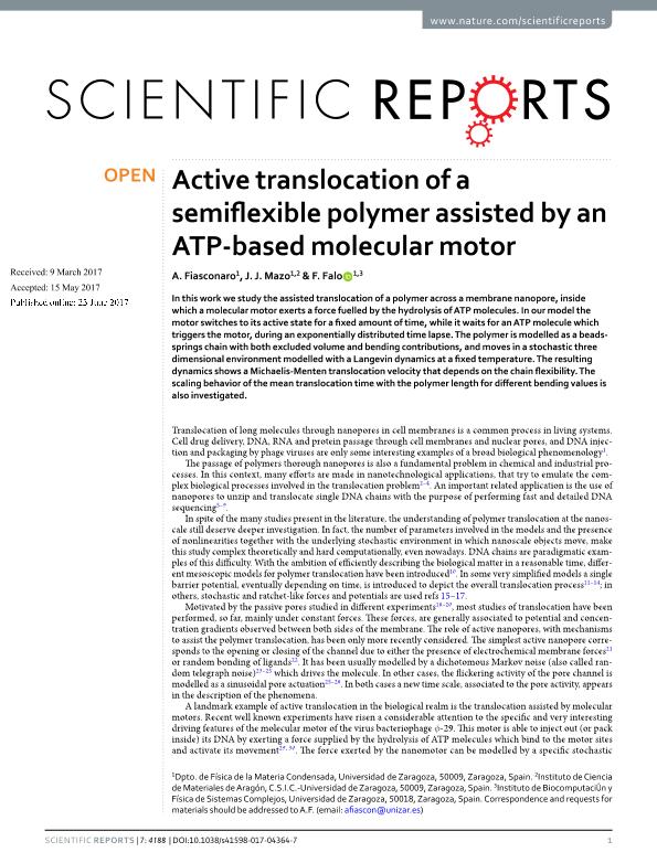 Active translocation of a semiflexible polymer assisted by an ATP-based molecular motor