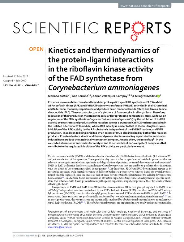 Kinetics and thermodynamics of the protein-ligand interactions in the riboflavin kinase activity of the FAD synthetase from Corynebacterium ammoniagenes