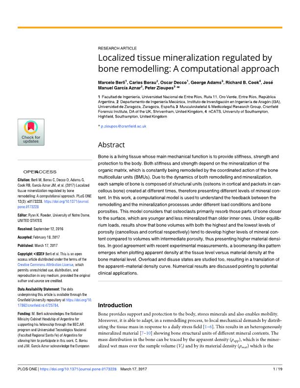 Localized tissue mineralization regulated by bone remodelling: A computational approach