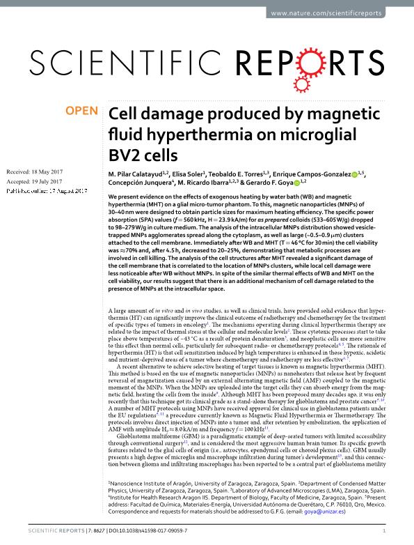 Cell damage produced by magnetic fluid hyperthermia on microglial BV2 cells