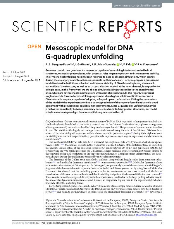 Mesoscopic model for DNA G-quadruplex unfolding