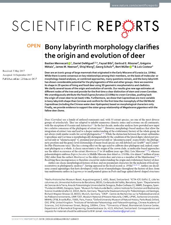 Bony labyrinth morphology clarifies the origin and evolution of deer
