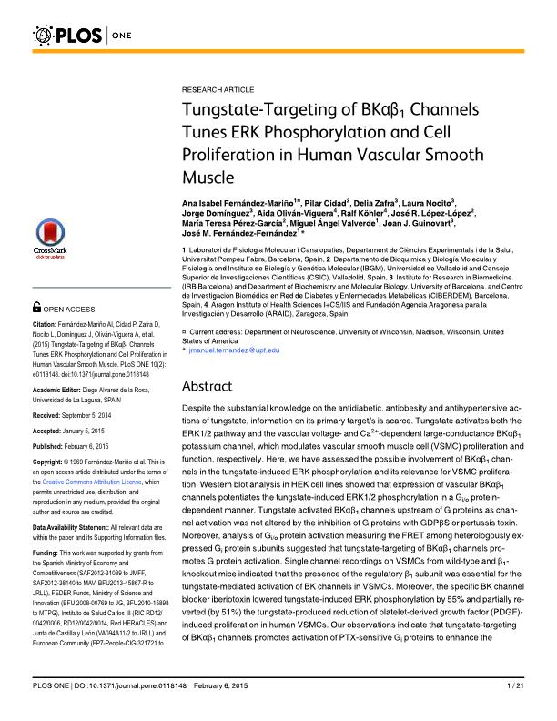 Tungstate-targeting of BKaß1 channels tunes ERK phosphorylation and cell proliferation in human vascular smooth muscle