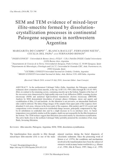 SEM and TEM evidence of mixed-layer illite-smectite formed by dissolutioncrystallization processes in continental Paleogene sequences in northwestern Argentina